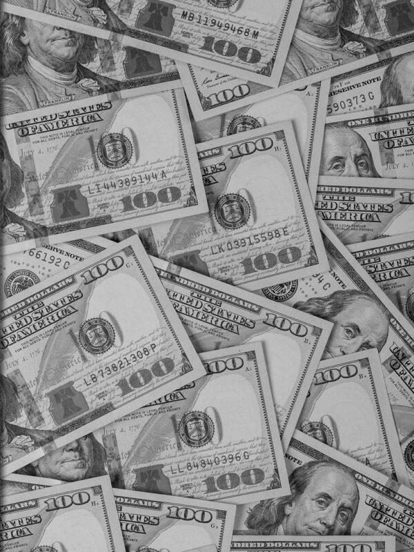 Abundance Affirmations: 222 Numerology-Inspired Pages to Wealth, Wrapped in Prosperity