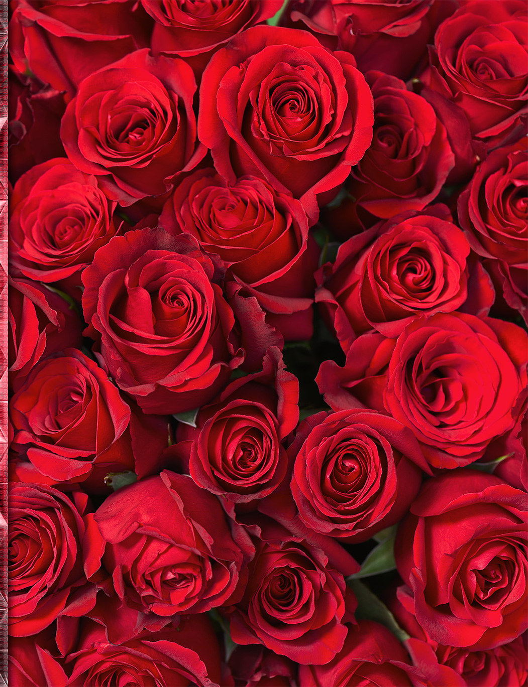 Blossom Your Dreams: Unfold the Petals of Your Potential